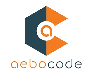 At Aebocode Technologies, we are passionate about pushing the boundaries of innovation in the field of drone manufacturing.